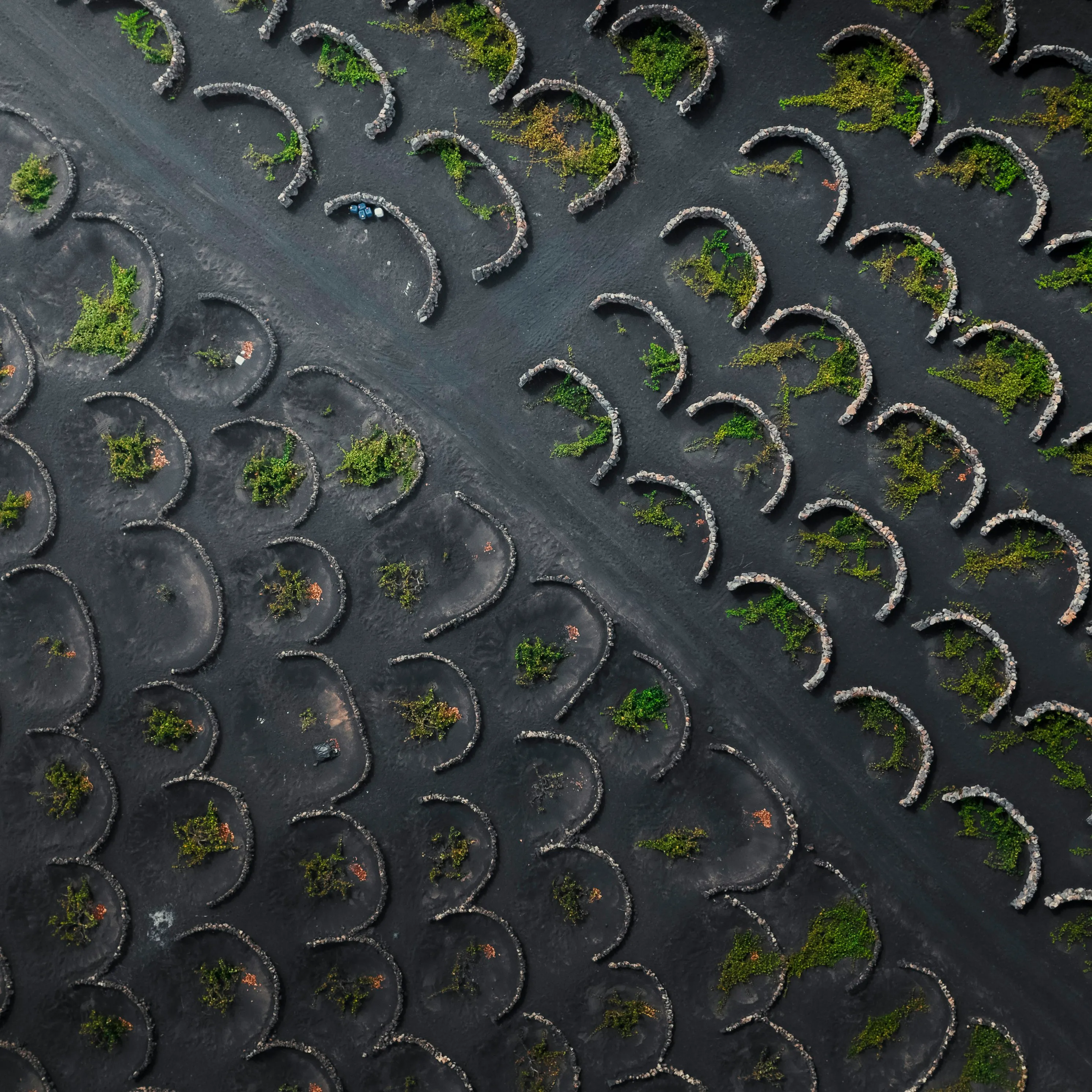 Waxing Studio Hannover